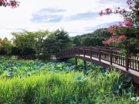 학교 앞 호수 완전 예쁘지?!??? ❤ - 인스티즈(instiz, 音思提资) 익명잡담 [익명잡담] 학교 앞 호수 완전 예쁘지?!??? ❤