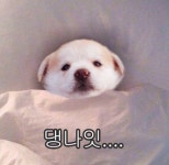 익인이더라 나 한달만에 10키로 빼고 앞자리 바꼈너ㅠㅠㅠㅠㅠ - 인스티즈(instiz, 音思提资) 익명잡담 [익명잡담] 익인이더라 나 한달만에... 