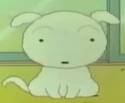 익들아 흰둥이는 암컷이게 수컷이게 - 인스티즈(instiz) 일상 카테고리 익들아 흰둥이는 암컷이게 수컷이게