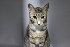 우리집 아가씨 보고가세여 - 인스티즈(instiz, 音思提资) 익명잡담 [익명잡담] 우리집 아가씨 보고가세여