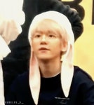 토끼 흉내내는 아기강아지.gif - 인스티즈(instiz) 연예 카테고리