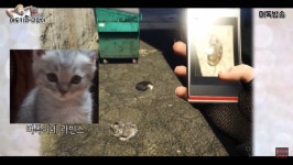 고양이를 사랑하는 남자의 GTA - 인스티즈(instiz) 이슈 카테고리 고양이를 사랑하는 남자의 GTA