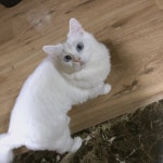 ㅋㅋㅌㅋㅋ 아 셀카찍는데 겁나 부비네... (instiz) 일상 카테고리 ㅋㅋㅌㅋㅋ 아 셀카찍는데 겁나 부비네 진짴ㅋㅋㅋㅋㅋㅋㅋㅋㅋㅋㅋ 40