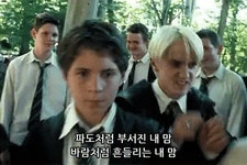 나 말포이 최애인데 내 친구가 이 짤 보내줌ㅋㅋㅋㅋㅋㅋㅋㅋㅋㅋㅋㅋ - 인스티즈(instiz) 일상 카테고리 나 말포이 최애인데 내 친구가 이 짤... 