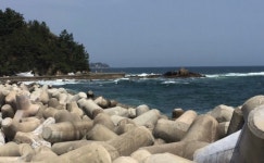 저는 아이콘의 방파제, 방파제입니다! - 인스티즈(instiz, 音思提资)... 익명예잡 [익명예잡] 안녕하세요. 저는 아이콘의 방파제, 방파제입니다!