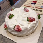 🍓우리 매장 생크림케잌 짱예다🍓 - 인스티즈(instiz) 익명잡담 카테고리 🍓우리 매장 생크림케잌 짱예다🍓