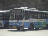 부산) 북구의 배차간격 깡패 원톱.jpg - 인스티즈(instiz) 이슈 카테고리