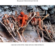 파푸아뉴기니의 미이라 - 인스티즈(instiz, 音思提资) 오싹공포 [오싹공포] 파푸아뉴기니의 미이라