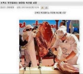조폭도 못건들이는 마장동 축산물 시장 - 인스티즈(instiz) 오싹공포 카테고리