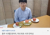 미쳐가는 충주시 근황.jpg ㅋㅋㅋㅋㅋ 담당자 포상 필수 - 인스티즈(instiz) 이슈 카테고리 미쳐가는 충주시 근황.jpg ㅋㅋㅋㅋㅋ 담당자... 
