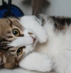 이거 진짜 다봉이 인생짤이다 - 인스티즈(instiz) 양띵TV 카테고리
