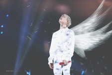 웅이 천사네 - 인스티즈(instiz) AB6IX 카테고리