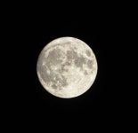 🌕🌕달 사진 찍는 꿀팁 솔직히 이거밖에 없음ㅋㅋㅋ40 - 인스티즈(instiz) 일상 카테고리 🌕🌕달 사진 찍는 꿀팁 솔직히 이거밖에... 