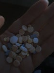 신경안정제랑 수면제 한웅큼먹었는데 꿀잠각? - 인스티즈(instiz) 일상 카테고리 신경안정제랑 수면제 한웅큼먹었는데 꿀잠각?