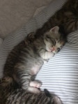이쁜거 인정? - 인스티즈(instiz) 익명잡담 이쁜거 인정?