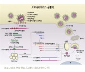 코로나 비밀 밝혀졌대! - 인스티즈(instiz) 익명잡담 코로나 비밀 밝혀졌대!
