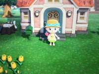 별똥별 못봐서 별지팡이 못얻고있었는데 - 인스티즈(instiz) 동물의숲 카테고리 별똥별 못봐서 별지팡이 못얻고있었는데