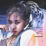 이런 스위시 뭐라고 검색해야 될까 ㅠㅠ - 인스티즈(instiz) 디자인 카테고리 이런 스위시 뭐라고 검색해야 될까 ㅠㅠ