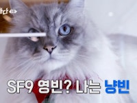 아니 우다다다 제작진들 너무 웃기다 - 인스티즈(instiz) 익명예잡 아니 우다다다 제작진들 너무 웃기다