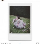 사진 이렇게 하는거 무슨 효과야? - 인스티즈(instiz) 일상 카테고리