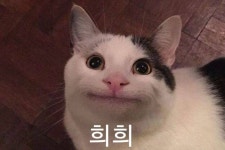 안녕하세요~^^ - 인스티즈(instiz) 익명잡담 카테고리 안녕하세요~^^