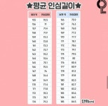 익들은 다리길이 긴편이야? - 인스티즈(instiz) 일상 카테고리