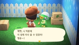 첫 캠노 후기 (feat.지키미) - 인스티즈(instiz) 동물의숲 카테고리