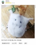 우리동네타이어'타닥' | 아니 우리동네 치킨집 리뷰 보는데 이런 리뷰는 처음 봐ㅋㅋㅋㅋㅋㅋㅋ - 인스티즈(instiz) 일상 카테고리