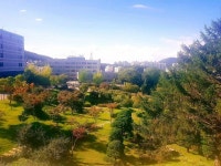 여기 어디대학 캠퍼스인지알아아? - 인스티즈(instiz) 익명잡담 여기 어디대학 캠퍼스인지알아아?