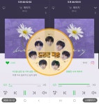 🌈드리핀독방 아리가 스밍인증왔알~🌈 - 인스티즈(instiz) 펜타곤 카테고리