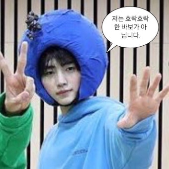 엔하이픈 박성훈 바보력 맥스... - 인스티즈(instiz) 연예 카테고리