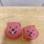 군침이 싹 도는 쿠키💗 - 인스티즈(instiz) 인티포털 군침이 싹 도는 쿠키💗