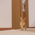 토끼마을 불끌게용🐰🛏💨 - 인스티즈(instiz) 도영 카테고리