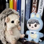 도치랑 파도 첫만남 - 인스티즈(instiz) 도영 카테고리
