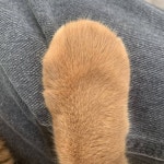 난 손이 진짜 이쁜듯! - 인스티즈(instiz) 일상 카테고리 난 손이 진짜 이쁜듯!