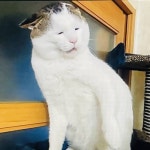 억울이와억수 아니 너무 ㅋㅋㅋㅋㅋㅋㅋㅋㅋㅋ - 인스티즈(instiz) 일상... 너희 유튜브에... 억울이와억수 아니 너무 ㅋㅋㅋㅋㅋㅋㅋㅋㅋㅋ