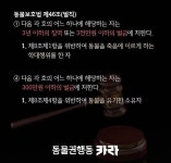🐶올해부터 동물 버리면 전과자 된대🐹 - 인스티즈(instiz) 일상 카테고리