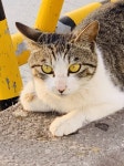 [강원] 강원도 속초 아남프라자 아는 익? - 인스티즈(instiz) 지역소식 카테고리