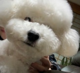 [미디어] 세훈이 비비 더 귀여워져서 돌아왔다.jpg - 인스티즈(instiz) 연예 카테고리