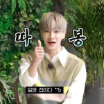 [잡담] 길동이들아 나 눈물난다 하이라이트 - 인스티즈(instiz) (K)POP/예능 카테고리 [잡담] 길동이들아 나 눈물난다 하이라이트