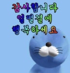 이런 무지개 짤을 뭐라고 하지?? - 인스티즈(instiz) 일상 카테고리 이런 무지개 짤을 뭐라고 하지??