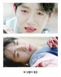 [보보경심:려] 단 한 명도 행복하지 못하게 마무리 된 황자들의 삶 - 인스티즈(instiz) 이슈 카테고리 [보보경심:려] 단 한 명도 행복하지 못하게... 