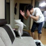 [해외주식]  잘한다 잘한다 내새끼.. - 인스티즈(instiz) 주식 카테고리 [해외주식]  잘한다 잘한다 내새끼..