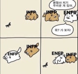 엔프피 인프피 익들 이거 진짜야?? - 인스티즈(instiz) 일상 카테고리 엔프피 인프피 익들 이거 진짜야??