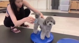 태연의 발가락 양말과 제로 - 인스티즈(instiz) 연예 카테고리 태연의 발가락 양말과 제로