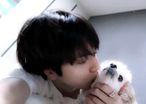 더보이즈 영훈 강아지 보리 진짜 귀여웡 - 인스티즈(instiz) 연예 카테고리 더보이즈 영훈 강아지 보리 진짜 귀여웡