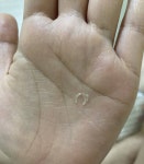 고양이 발톱이 막 떨어져있어 - 인스티즈(instiz) 일상 카테고리 고양이 발톱이 막 떨어져있어