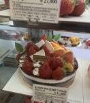 충북 영동이라는 시골에 전설의 뚜레쥬르가 있음… - 인스티즈(instiz) 일상 카테고리 충북 영동이라는 시골에 전설의 뚜레쥬르가 있음…