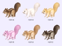 모코코들아 욤 펫 어떤아이로 받을까?? - 인스티즈(instiz) 로스트아크 카테고리 모코코들아 욤 펫 어떤아이로 받을까??