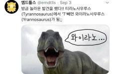 티라노에서 티를 빼면..? - 인스티즈(instiz) 일상 카테고리